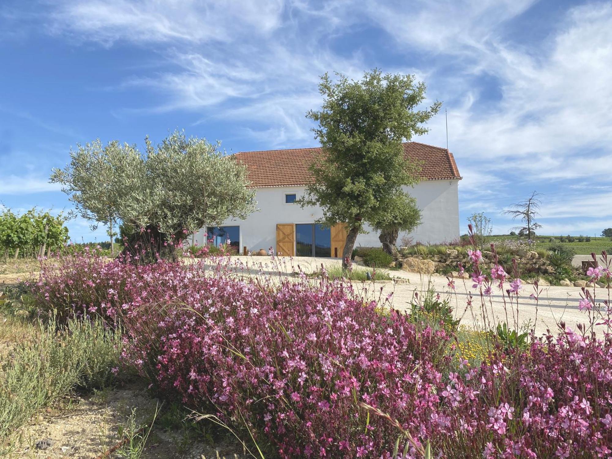 Villa Cas'Amaro Alenquer Esterno foto